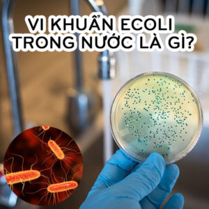 Aquatabs 67mg – Phòng chống vi khuẩn E.coli hiệu quả